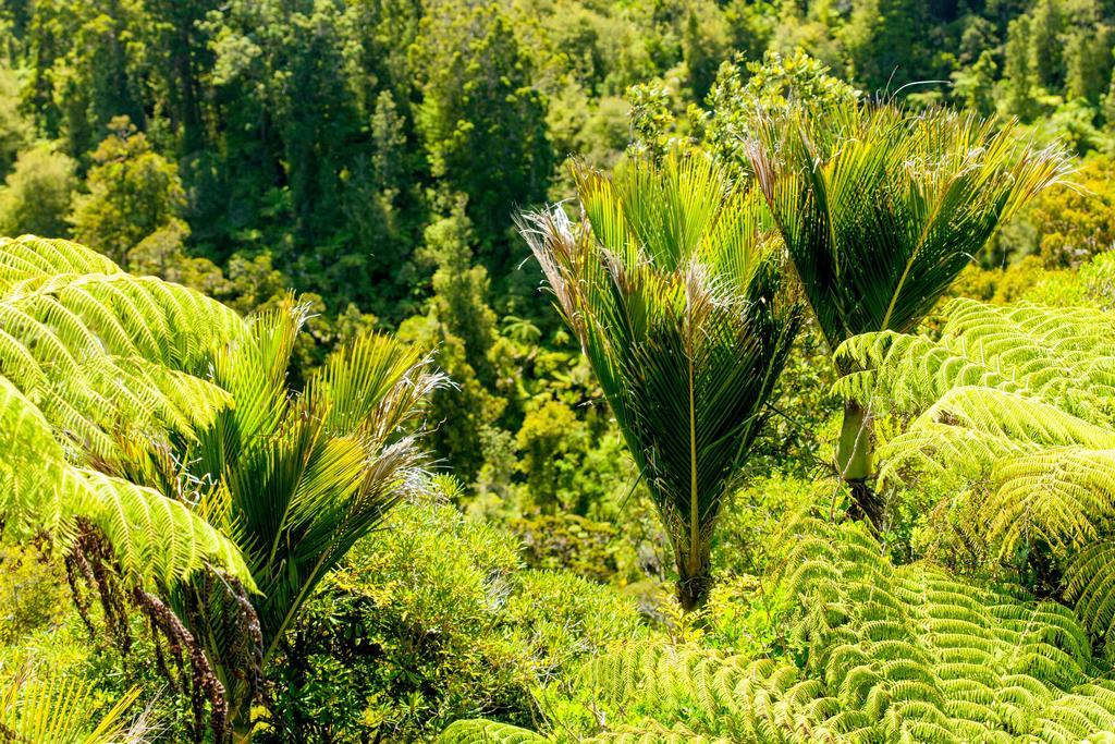 Hotel Waitakere & Auckland